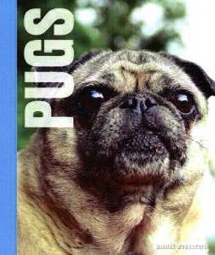 Beispielbild fr Pugs zum Verkauf von WorldofBooks