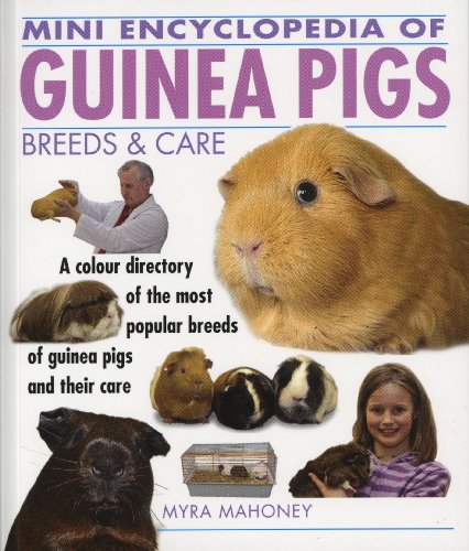 Stock image for Mini Encyclopedia of Guinea Pigs for sale by AwesomeBooks
