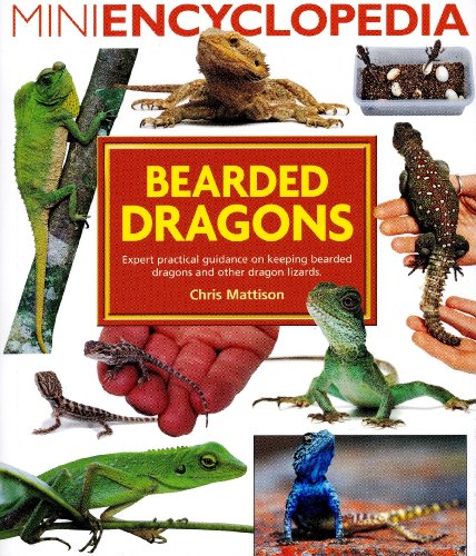 Imagen de archivo de Mini Encyclopedia of Bearded Dragons. Expert advice on keeping bearded dragons and other dragon lizards a la venta por WorldofBooks