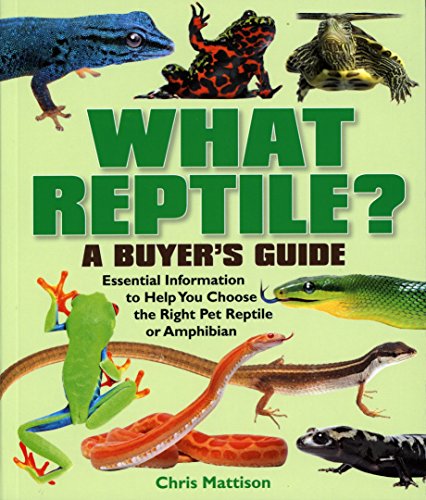 Imagen de archivo de What Reptile? A Buyer's Guide - Essential information to help you choose the right reptile or amphibian a la venta por AwesomeBooks