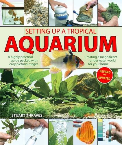 Beispielbild fr Setting Up a Tropical Aquarium: A Highly Practical Guide Packed with Easy Pictorial Stages Creating a Magnificent Underwater World for Your Home zum Verkauf von WorldofBooks