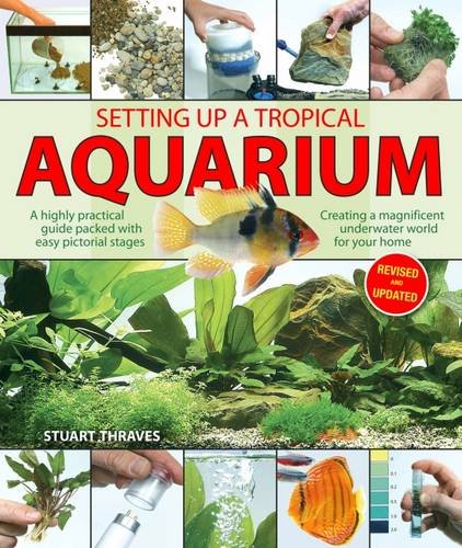 Stock image for Setting Up a Tropical Aquarium: A Highly Practical Guide Packed with Easy Pictorial Stages Creating a Magnificent Underwater World for Your Home for sale by WorldofBooks