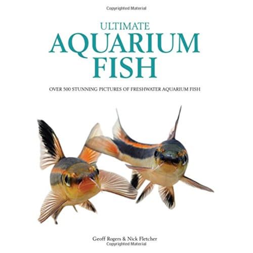 Beispielbild fr Ultimate Aquarium Fish zum Verkauf von SecondSale