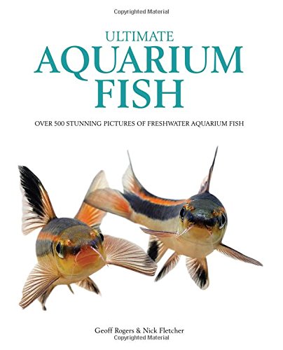 9781842862551: Ultimate Aquarium Fish: Over 500 Stunning Pictures of Freshwater Aquarium Fish