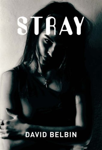 Stock image for Stray (gr8reads) for sale by WorldofBooks