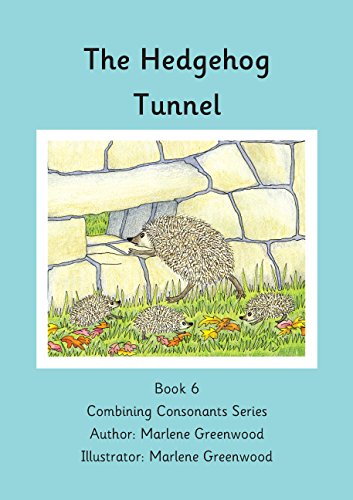 Stock image for The Hedgehog Tunnel for sale by WorldofBooks