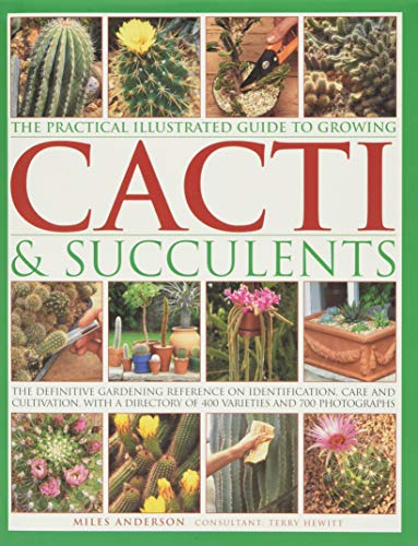 9781843093558: World Encyclopedia of Cacti & Succulents