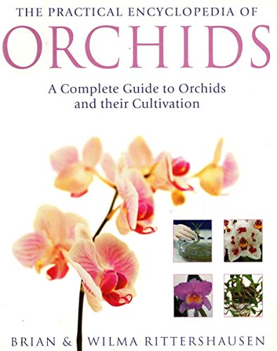 9781843095293: The Practical Encyclopedia of Orchids
