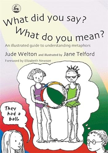 9781843102076: What Did You Say? What Do You Mean?: An Illustrated Guide to Understanding Metaphors