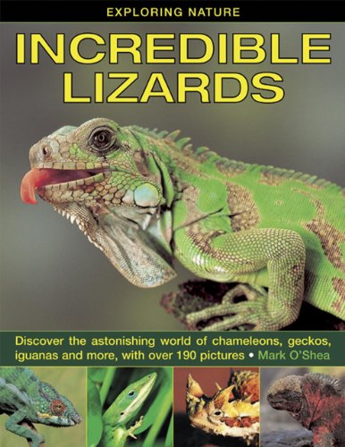 Beispielbild fr Exploring Nature: Incredible Lizards (Exploring Nature (Armadillo)): Discover the Astonishing World of Chameleons, Geckos, Iguanas and More, with Over 190 Pictures zum Verkauf von WorldofBooks