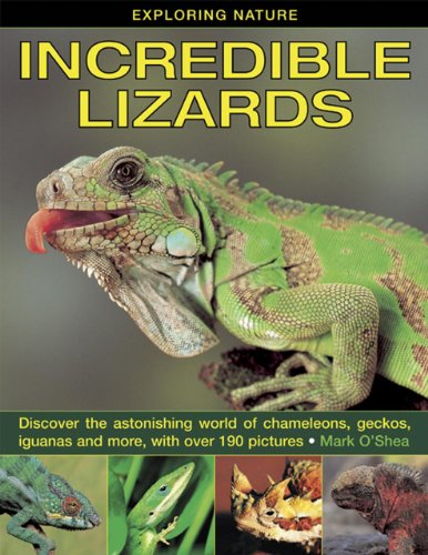 Stock image for Exploring Nature : Incredible Lizards - Discover the Astonishing World of Chameleons, Geckos, Iguanas and More, with over 190 Pictures for sale by Better World Books