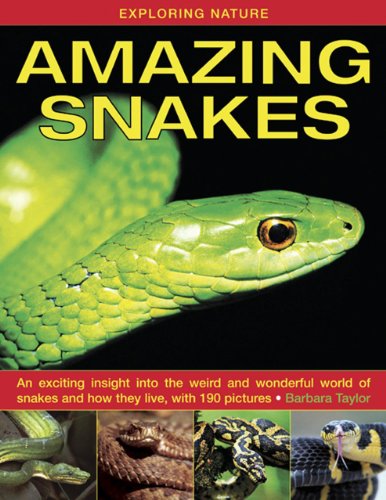 Beispielbild fr Exploring Nature: Amazing Snakes: an Exciting Insight into the Weird and Wonderful World of Snakes and How They Live, with 190 Pictures zum Verkauf von WorldofBooks