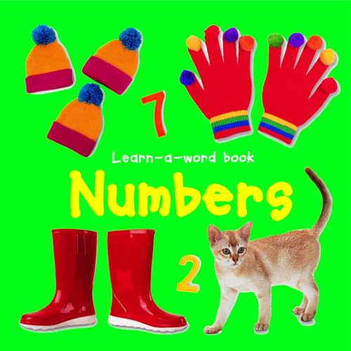 9781843227502: Learn-a-word Book: Numbers