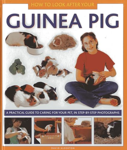 Stock image for How to Look After Your Guinea Pig: A Practical Guide to Caring for Your Pet, in Step-By-Step Photographs for sale by ThriftBooks-Atlanta