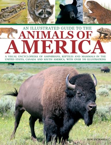 9781843227694: An Illustrated Guide to the Animals of America: a Visual Encyclopedia of Amphibians, Reptiles and Mammals in the United States, Canada and South America, with Over 350 Illustrations