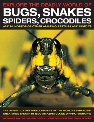 9781843228400: Explore the Deadly World of Bugs, Snakes, Spiders, Crocodiles and Hundreds of Other Amazing Reptiles and Insects: The Dramatic Lives and Conflicts of ... Shown in 1500 Amazing Close-up Photographs