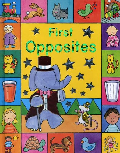 Sparkly Learning: First Opposites (9781843228448) by Davis, Caroline