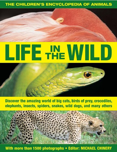 Stock image for The Children's Encyclopedia of Animals: Life In The Wild: Discover the amazing world of big cats, birds of prey, crocodiles, elephants, insects, spiders, snakes, wild dogs and many others for sale by HPB-Diamond