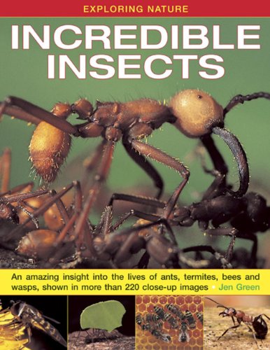 Stock image for Exploring Nature: Incredible Insects: An Amazing Insight into the Lives of Ants, Termites, Bees and Wasps, Shown in More Than 220 Close-up Images for sale by WorldofBooks