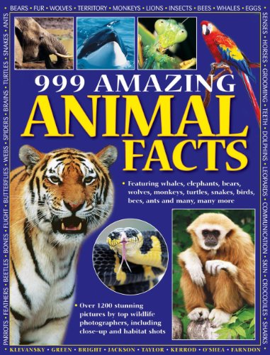Beispielbild fr 999 Amazing Animal Facts: Featuring whales, elephants, bears, wolves, monkeys, turtles, snakes, birds, bees, ants and many, many more zum Verkauf von SecondSale