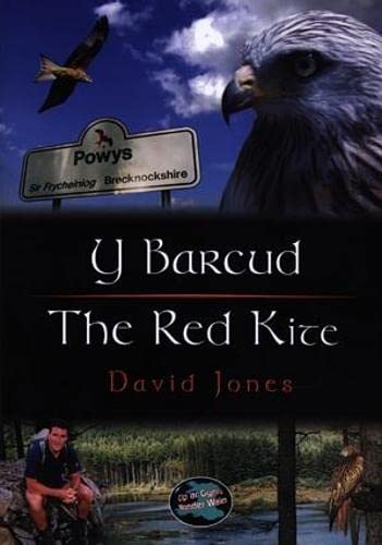 Stock image for Y Barcud / The Red Kite (Wonder Wales) for sale by WorldofBooks