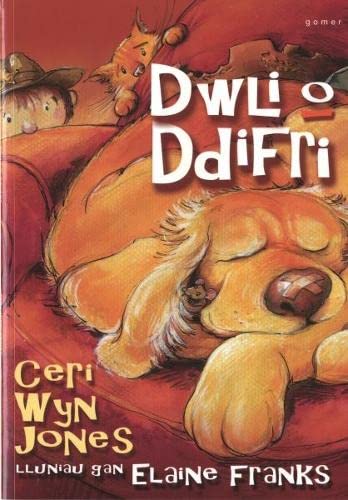 Stock image for Dwli O Ddifri for sale by Revaluation Books
