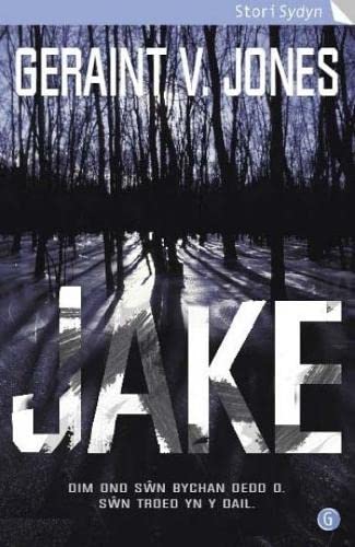 Imagen de archivo de Cyfres Stori Sydyn: Jake a la venta por WorldofBooks