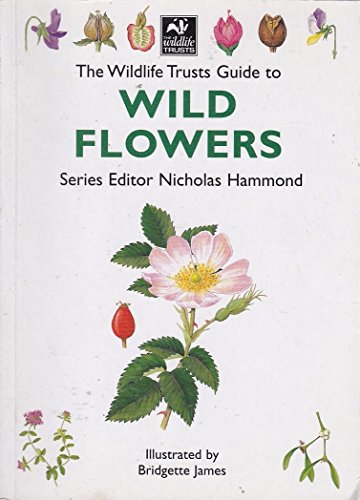 Stock image for The Wildlife Trusts Guide to Wild Flowers for sale by AwesomeBooks