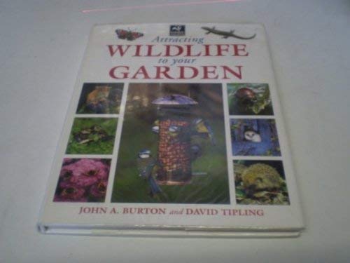 9781843304821: Attracting Wildlife to Your Garden