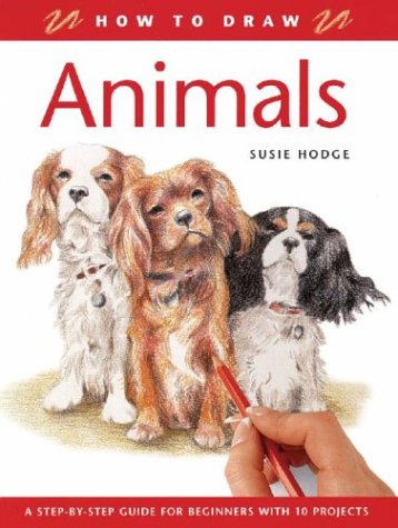 9781843306009: Animals (How to Draw)