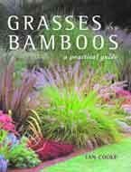 9781843309369: Grasses and Bamboos: A Practical Guide
