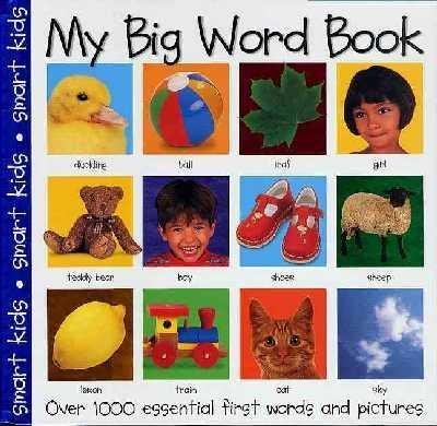 My Big Word Book [SMART KIDS MY BIG WORD BK] (9781843320555) by Roger Priddy; Jo Douglass; Robert Tainsh