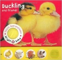 Touch, Feel & Listen-Duckly and Friends (9781843323457) by Priddy Books