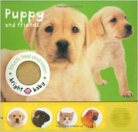 Touch, Feel & Listen-Puppy and Friends (9781843323464) by Roger Priddy