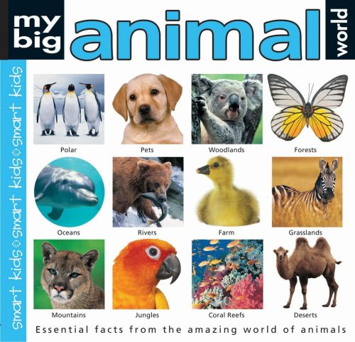 9781843323587: My Big Animal World (Smart Kids)