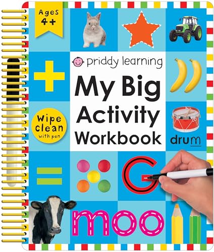 9781843325772: My Big Activity Workbook (Wipe Clean Workbooks)