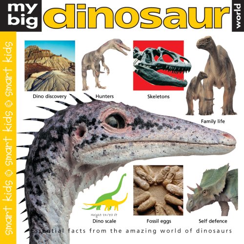 Stock image for My Big Dinosaur World (Smart Kids) for sale by WorldofBooks