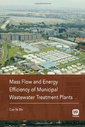 9781843393825: Mass Flow and Energy Efficiency of Municipal Wastewater Treatment Plants