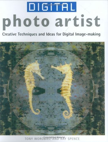 Stock image for Digital Photo Artist: Creative Techniques and Ideas for Digital Image-making for sale by Half Price Books Inc.