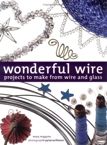 9781843401636: Wonderful Wire : Projects to Make from Wire and Glass