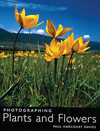 Stock image for Photographing Plants and Flowers for sale by WorldofBooks
