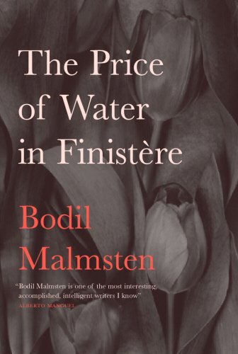 Beispielbild fr The Price of Water in Finist?re zum Verkauf von Books of the Smoky Mountains
