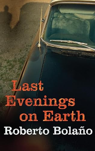 9781843431817: Last Evenings On Earth