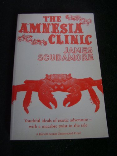 9781843433033: The Amnesia Clinic