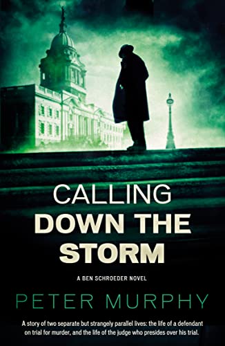 Beispielbild fr Calling Down the Storm (Ben Schroeder 5): The Fifth Ben Schroeder Legal Thriller (A Ben Schroeder Legal Thriller, 5) zum Verkauf von WorldofBooks