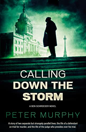 Stock image for Calling Down the Storm for sale by Blackwell's