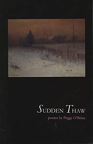 Stock image for Sudden Thaw for sale by WorldofBooks