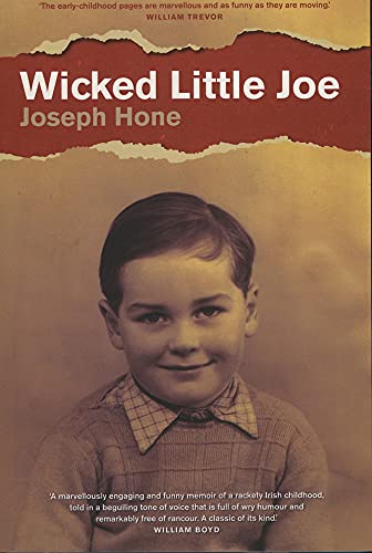 Beispielbild fr Wicked Little Joe zum Verkauf von WorldofBooks