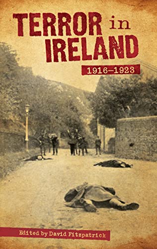 Terror In Ireland: 1916-1923 (9781843511991) by Fitzpatrick, David