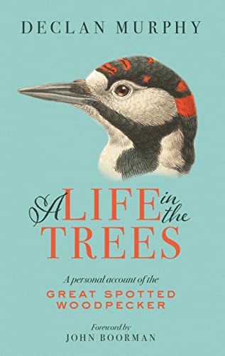 Beispielbild fr A Life In The Trees: A Personal Account of the Great Spotted Woodpecker zum Verkauf von WorldofBooks